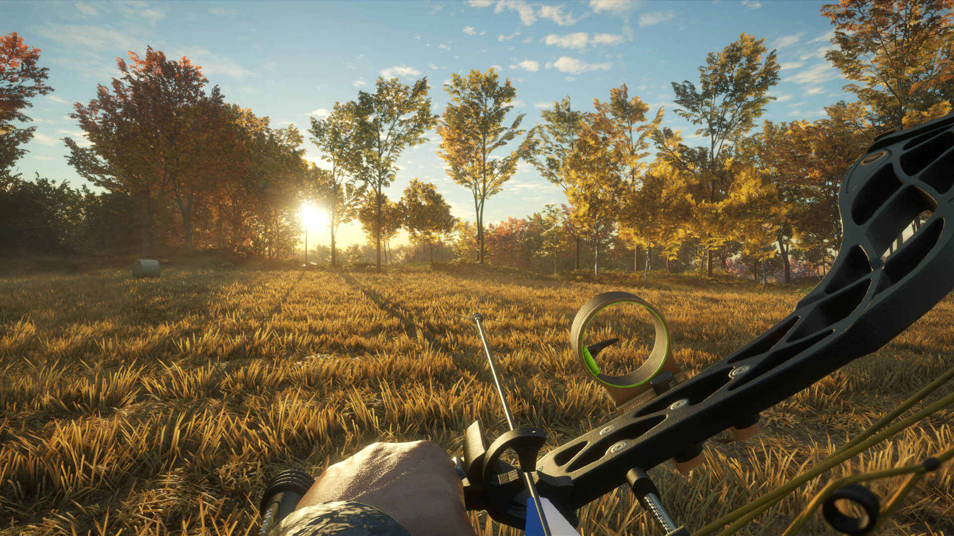 Is Hunter Call of the Wild Cross Platform? [PC, PS4, Xbox One]